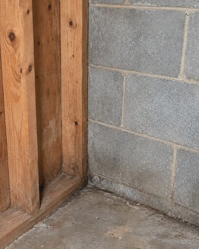 Example, after: mold on block wall and framing