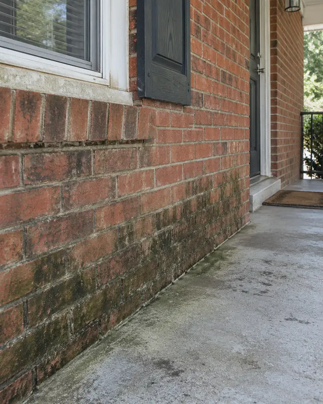 Example, before: mildew on brick and a porch slab