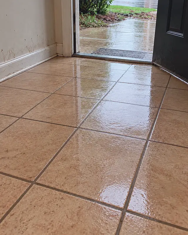 Example, after: mud and water inside a front door